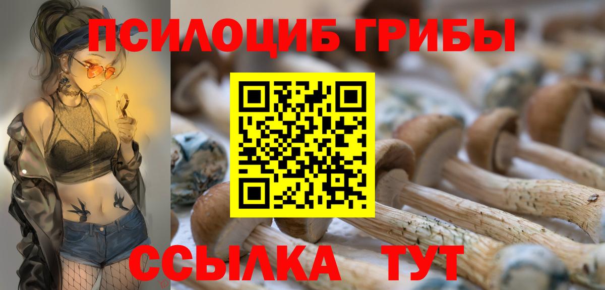 Галлюциногенные грибы GOLDEN TEACHER  Вход с VPN  Бутурлиновка 